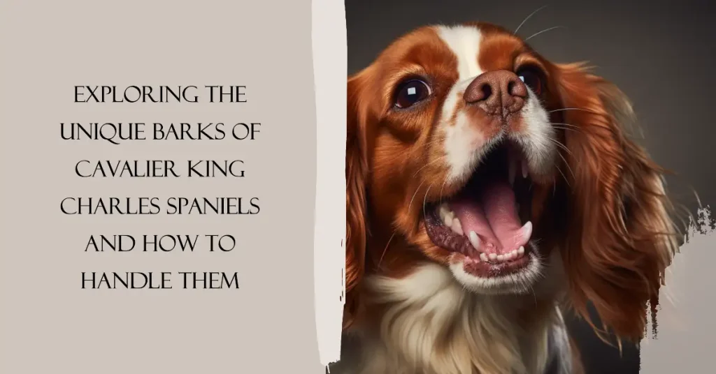 Cavalier King Charles Spaniel barking