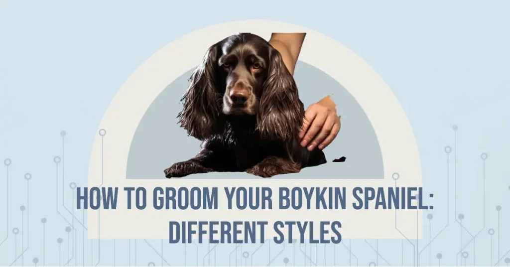 Boykin Spaniel grooming styles