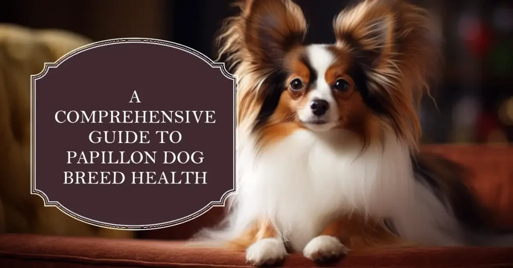 Papillon dog health issues