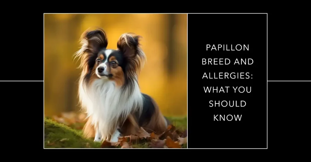 Papillon dog hypoallergenic