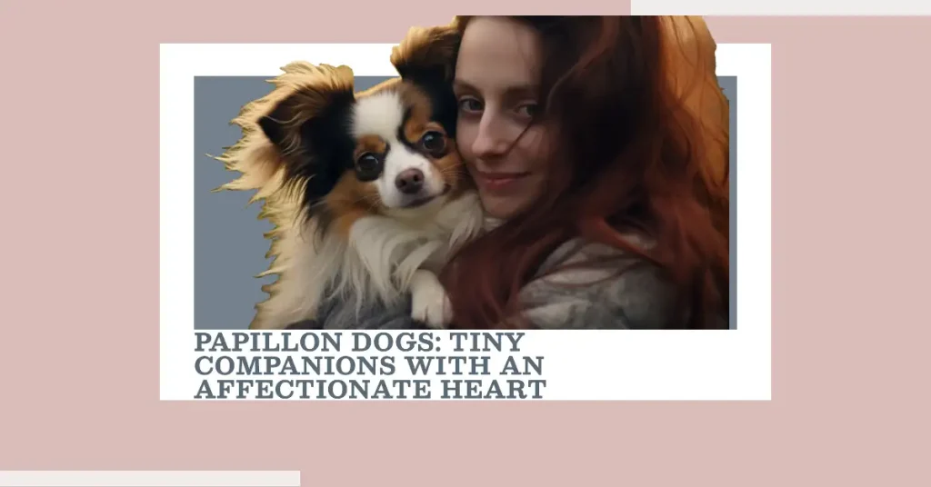 Are Papillon dogs affectionate?