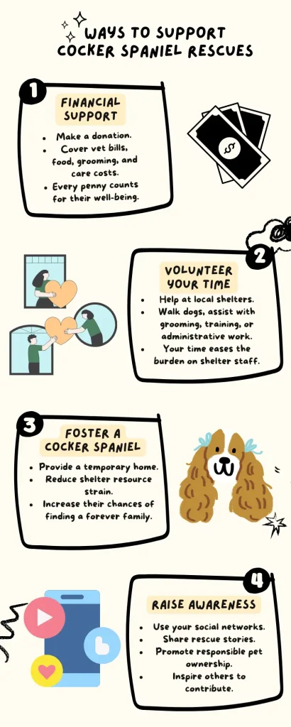 Infographic on ways to support Cocker Spaniel rescues