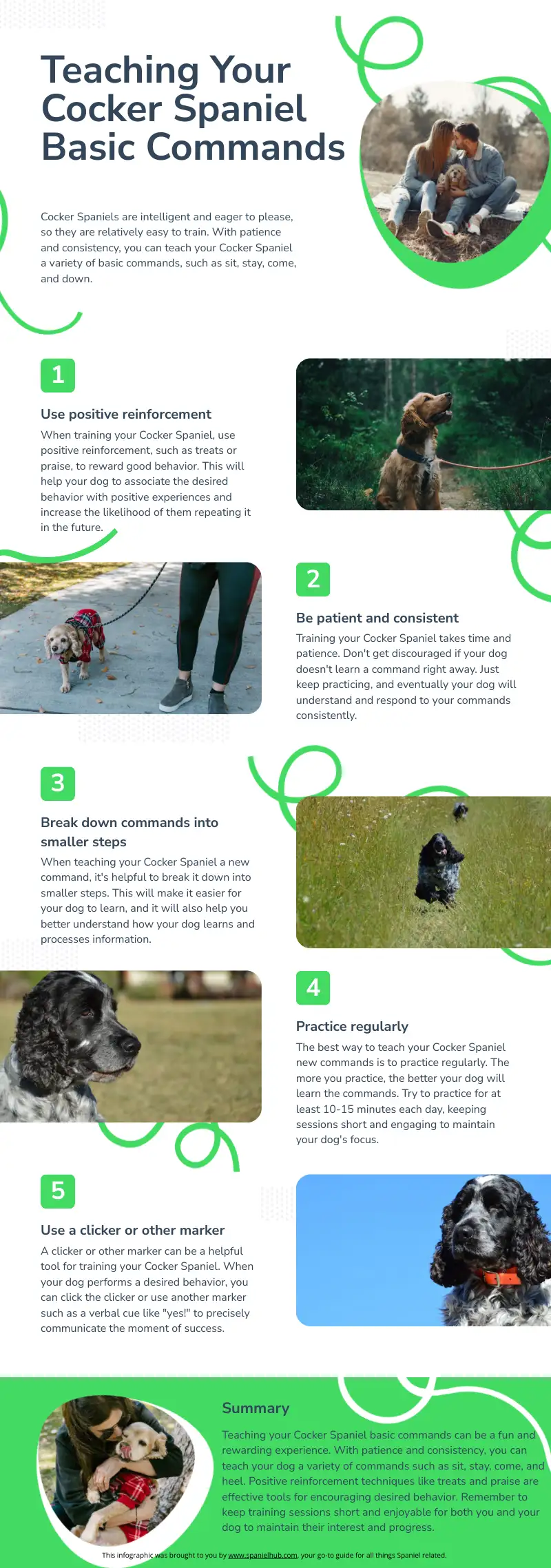 An informative infographic all about teaching your Cocker Spaniel basic commands