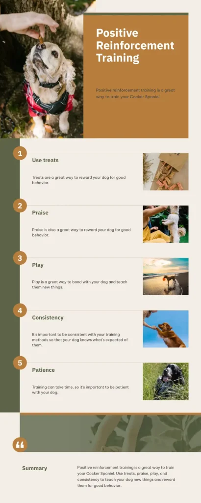 An informative infographic on positive reinforcement training.
